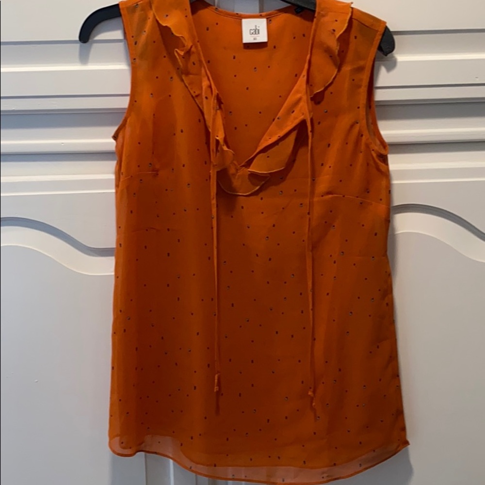 Sprinkle top cabi